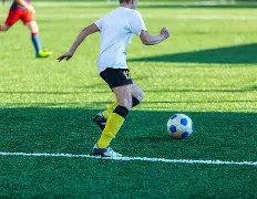 拜仁,法兰克福,伊藤洋辉进,太阳城,太阳城娱乐,太阳城app,太阳城赌场