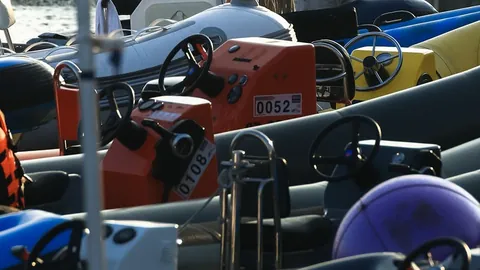 张伟丽女子草量级卫冕成功，三连冠荣耀再续2025-02-10