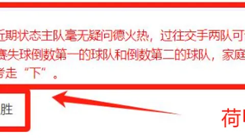 [德甲]第21轮：勒沃库森对阵沃尔夫斯堡